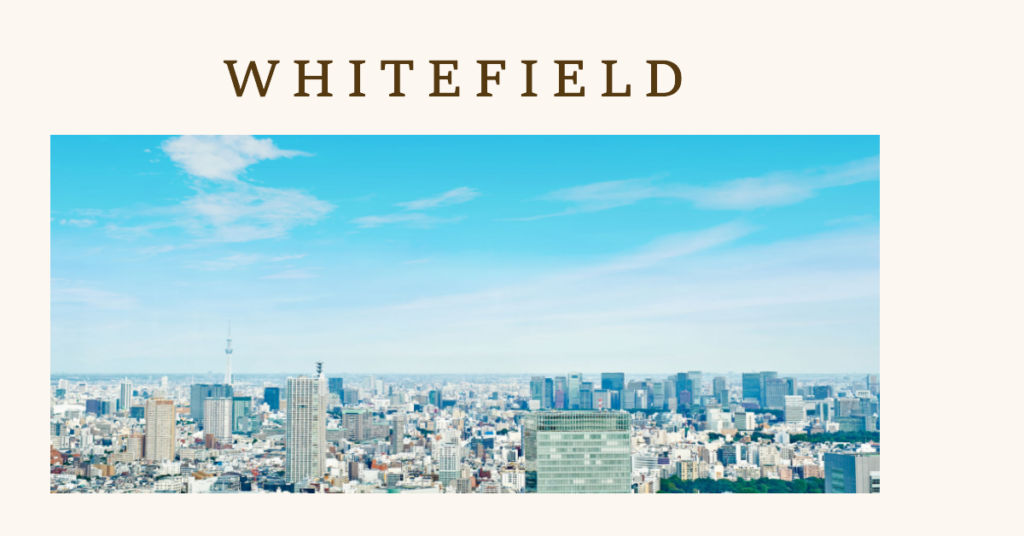 Things to Explore in Whitefield